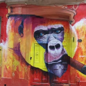 Meet your Posher, Dee